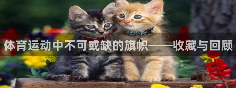 风速体育官网：体育运动中不可或缺的旗帜——收藏与回顾