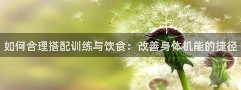 风速体育：如何合理搭配训练与饮食：改善身体机能的捷径