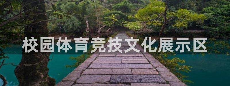 风速体育：校园体育竞技文化展示区