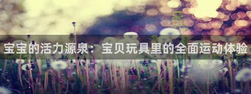 风速体育app官方下载：宝宝的活力源泉：宝贝玩具里的全面运动体验
