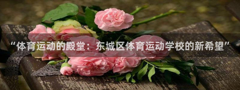 风速体育app：“体育运动的殿堂：东城区体育运动学校的新希望”