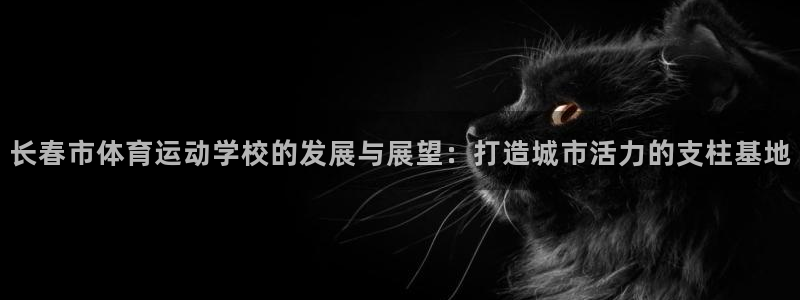 风速体育官网：长春市体育运动学校的发展与展望：打造城市活力的支柱基地