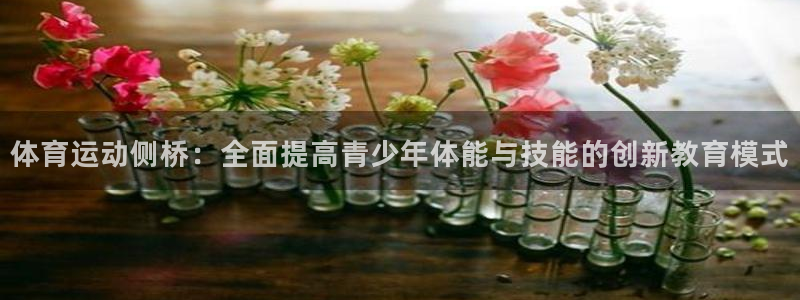 风速体育app下载官网最新版：体育运动侧桥：全面提高青少年体能与技能的创新教育模式