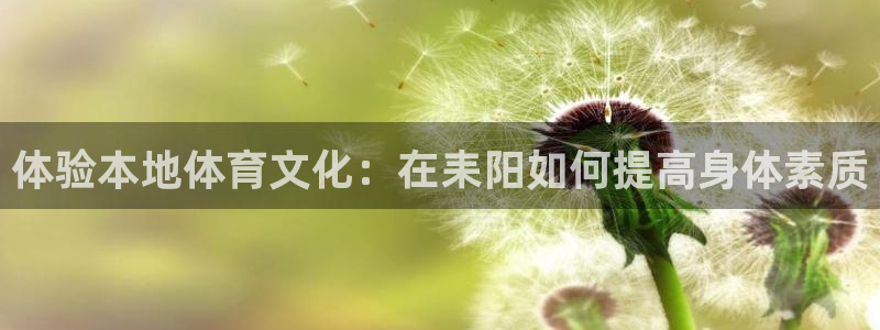 风速体育nba直播：体验本地体育文化：在耒阳如何提高身体素质