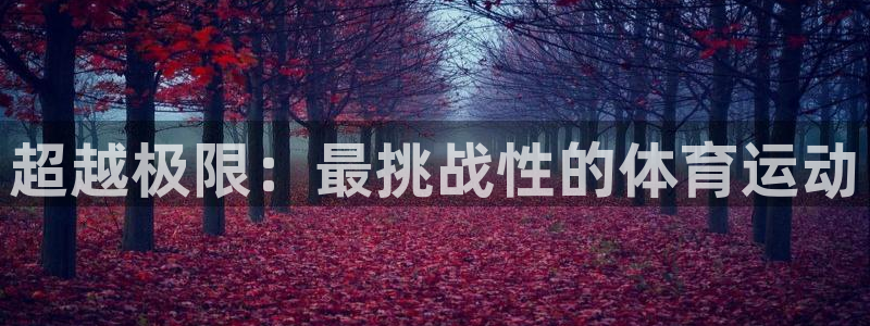 风速体育app下载官网最新版：超越极限：最挑战性的体育运动