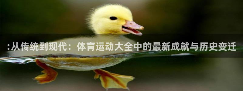风速体育app官方下载：:从传统到现代：体育运动大全中的最新成就与历史变迁