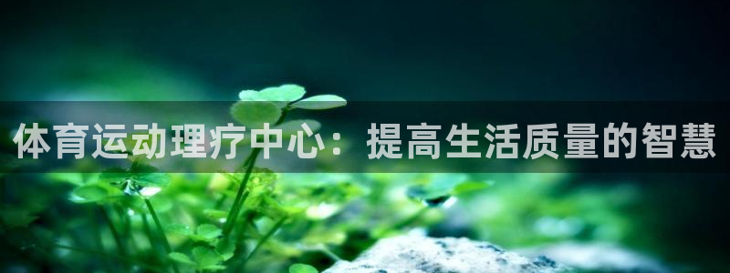 风速体育app下载安装最新版本：体育运动理疗中心：提高生活质量的智慧