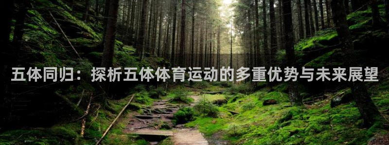 风速体育下载：五体同归：探析五体体育运动的多重优势与未来展望