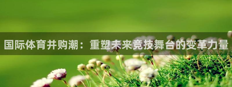 风速体育app官方下载：国际体育并购潮：重塑未来竞技舞台的变革力量