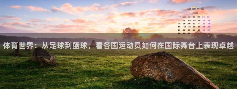 风速体育下载：体育世界：从足球到篮球，看各国运动员如何在国际舞台上表现卓越