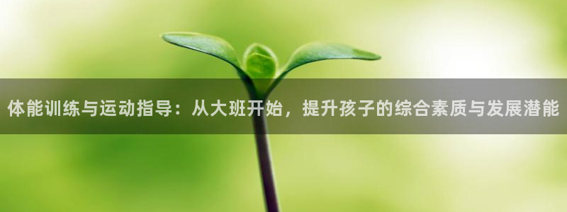 风速体育官网：体能训练与运动指导：从大班开始，提升孩子的综合素质与发展潜能