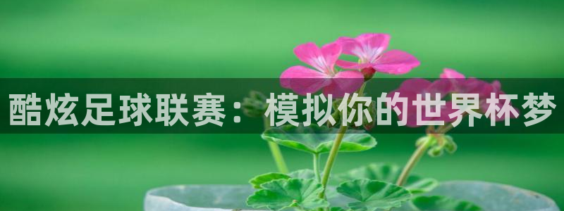 风速体育app下载安装最新版本：酷炫足球联赛：模拟你的世界杯梦